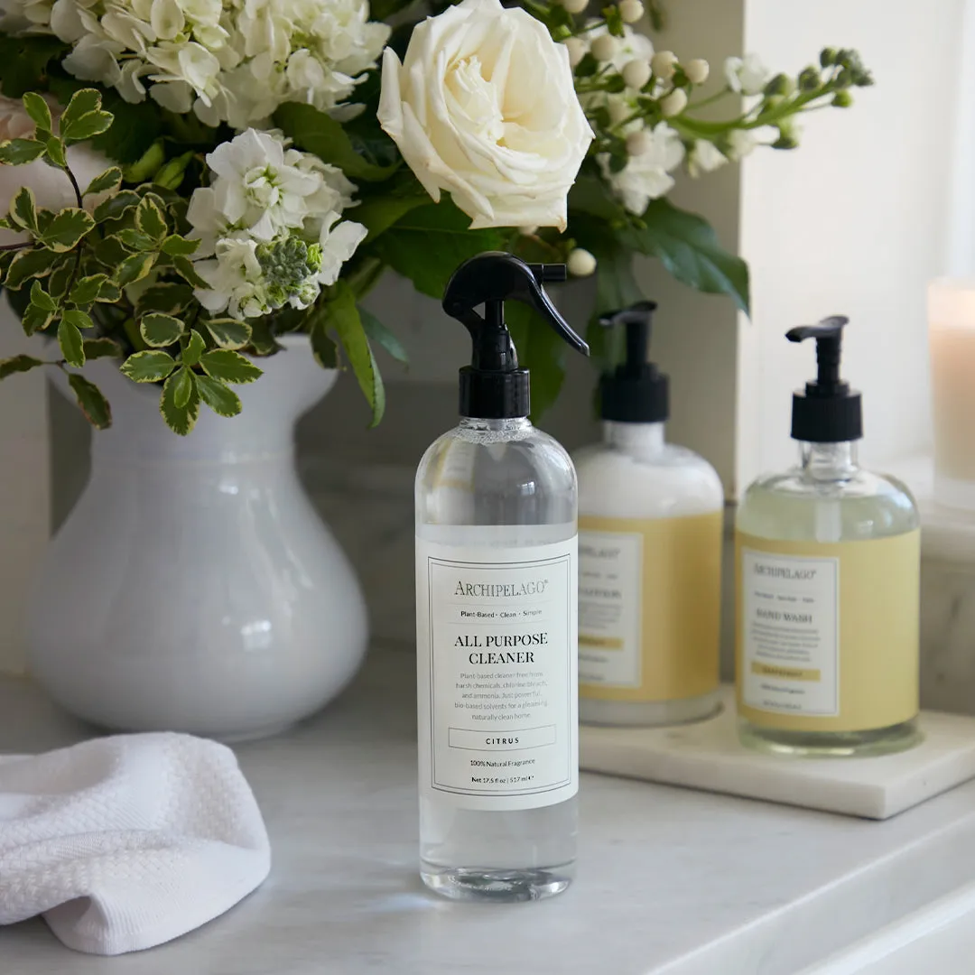 All Purpose Cleaner